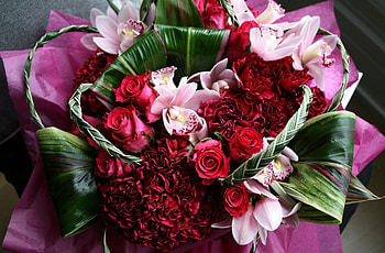Flowers, Roses, Carnations, Registration, Typography, Bouquet, Orchids HD wallpaper