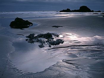 moonlight beach, moonlight, beach HD wallpaper