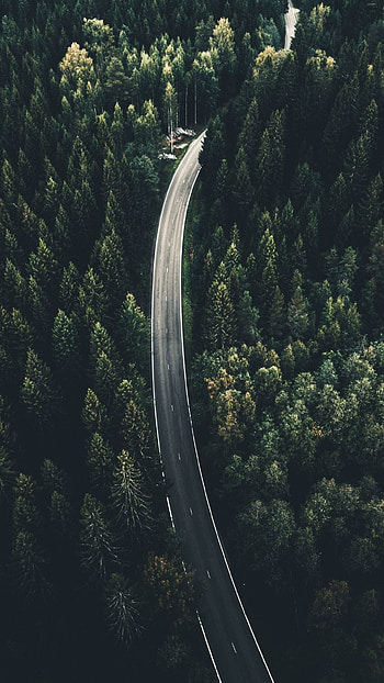 Viitailantie 269, Finland HD phone wallpaper