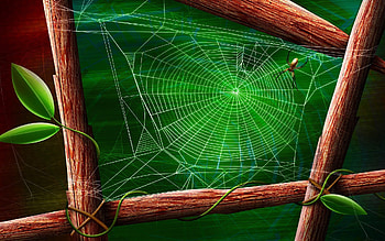 Background, Web HD wallpaper
