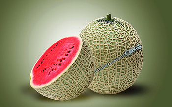 Lock, Miscellanea, Miscellaneous, Watermelon, Creative HD wallpaper