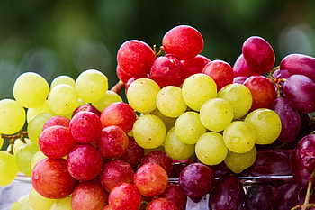 Grapes and gut, Heart-healthy, Boosting diversity, Lowering cholesterol HD wallpaper
