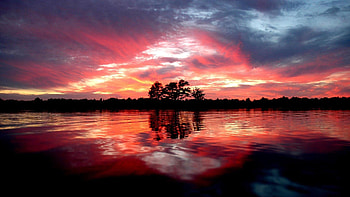 Red Sunset, red, sky, nature, lake, sunset, dark, tree HD wallpaper