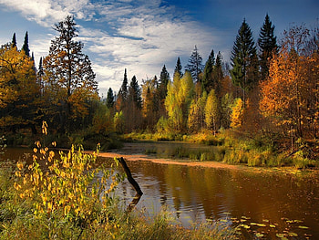Landscape, Rivers, Autumn HD wallpaper