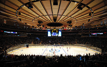 Madison Square Garden, collection, Posted by Zoey Sellers HD wallpaper