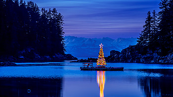 Alaska Amalga Harbor Christmas Tree 10k, evening, landscape, christmas, graphy HD wallpaper