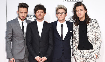 Harry Styles biography, Fandom knowledge, Fan-made wiki HD wallpaper
