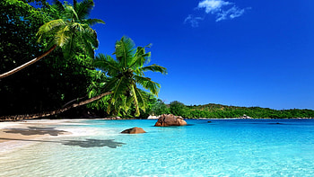 Blue paradise, blue, paradise, nature, beach HD wallpaper