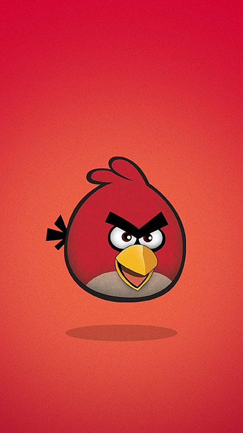 Angry Birds, , Avian adventures, Fowl fun HD phone wallpaper