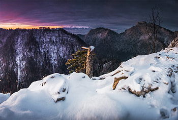 Winter Landscape Snow, winter, snow, landscape, nature HD wallpaper