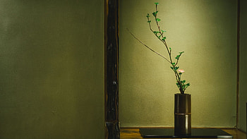 L'art dlicat, Faire vivre HD wallpaper