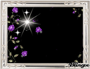 stars with flowers, star, white, black, flower HD wallpaper