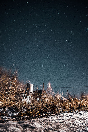 Nature, Night, Bush, Building, Starry Sky, Abandoned, Countryside HD phone wallpaper