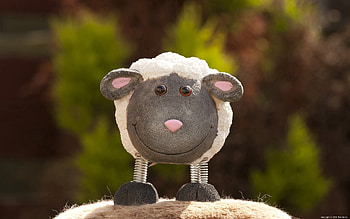Miscellanea, Miscellaneous, Muzzle, Toy, Happy, Lamb, Cheery HD wallpaper