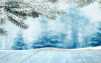 snowy fir-tree branch, winter, blurred blue background, snowfall, snowy forest, winter frames, winter backgrounds HD wallpaper