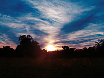 Nature, Trees, Sunset, Sky, Clouds, Sunlight HD wallpaper