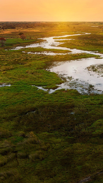 Sunset on Okavango Delta, Chobe National Park, African landscape, Windows spotlight HD phone wallpaper