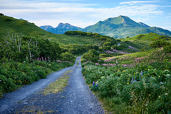 Landscape, Nature, Mountains, Road, Greens, Hills HD wallpaper