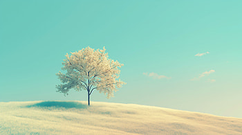 Serene Blue Sky and Lone Tree, tree HD wallpaper