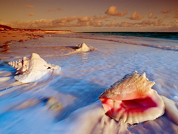 Landscape, Beach HD wallpaper