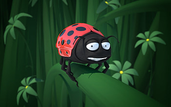 Funny, Insects, Ladybugs HD wallpaper