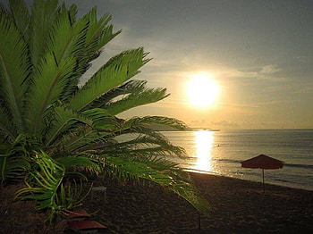 Tropical Sunset, reflection, tropical, landscape, nature, palm trees, sunset, beach HD wallpaper