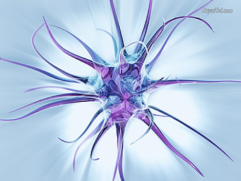 tenticles, blue, spidery, fragile HD wallpaper