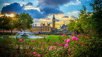 Westminster, London, river, big ben, trees, uk, flowers, park, thames, england HD wallpaper