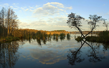 Secret Place, nature, dark, lake, tree HD wallpaper