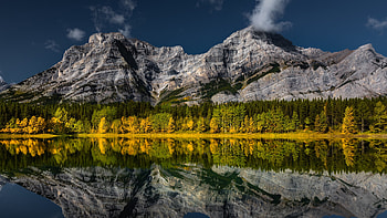 Mountain Lake Reflection, forest, reflection, lake, mountain HD wallpaper