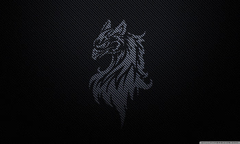 Carbon Fiber Griffin, texture, carbon, griffin, fiber HD wallpaper