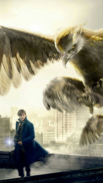 David Yates, Thunderbird creature, Magical creatures, Fantastic Beasts HD phone wallpaper