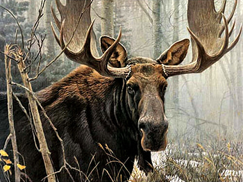 Bull Moose, animal, art, beautiful, illustration, artwork, wide screen, wildlife, painting, moose, deer, nature HD wallpaper