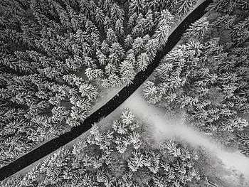 Winter, Nature, Trees, Snow, View From Above, Road, Forest HD wallpaper