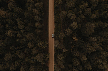 Nature, Trees, View From Above, Road, Forest, Car, Machine HD wallpaper