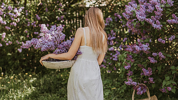 Women In White Dress Collecting Flowers , girls, model, white-dress HD wallpaper