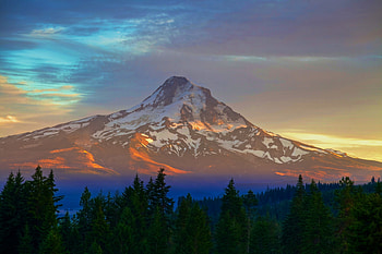 Mount Taranaki, golden peak, trees, sunset, nature HD wallpaper