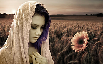 Softness Beauty, softness, Woman, veil, Sunflower, Ethereal, lady, face, Field, lovely HD wallpaper