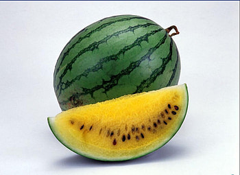 watermelon, food, yellow HD wallpaper