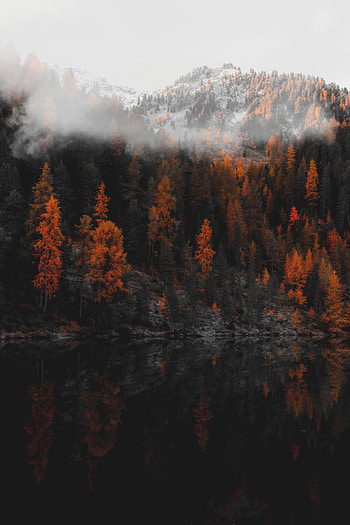 Landscape, Nature, Mountains, Lake, Shore, Bank, Forest HD phone wallpaper