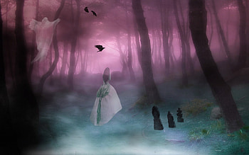 The Haunted Wood, cg, abstract, wp, fantasy HD wallpaper