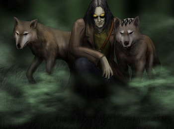 Family, wolf HD wallpaper