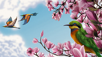 Colourful Birds, fly, birds, painting, blossoms HD wallpaper