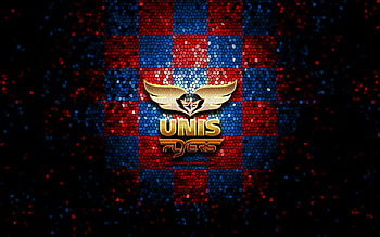 UNIS Flyers, glitter logo, BeNe League, red blue checkered background, hockey, dutch hockey team, UNIS Flyers logo, mosaic art HD wallpaper