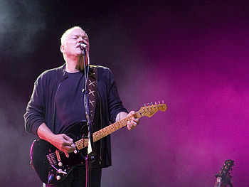 David Gilmour, Music HD wallpaper