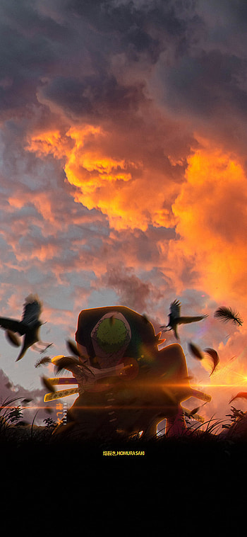 One Piece, luffy, mugiwara, wanokuni, zoro, onepiece, roronoa, anime, kaido HD phone wallpaper