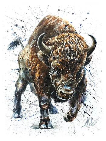 Expressive buffalo watercolor, Buffalo tattoo inspiration, Buffalo artwork, Watercolor buffalo painting HD phone wallpaper