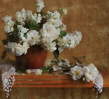Still life, soft, nature, flowers HD wallpaper