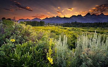 Grand Teton National Park, Ultra HD wallpaper