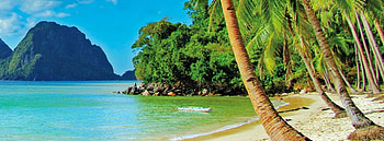 Exotic Palawan, island, sand, hills, paradise, beach, summer, Philippines, palm trees, ocean HD wallpaper